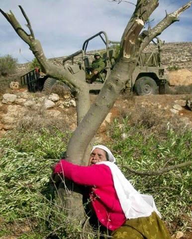 في يوم الارض: تحية تقدير للشعب الفلسطيني ونضاله المستمر